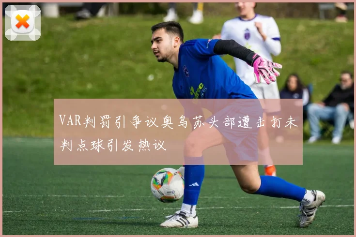 VAR判罚引争议奥乌苏头部遭击打未判点球引发热议
