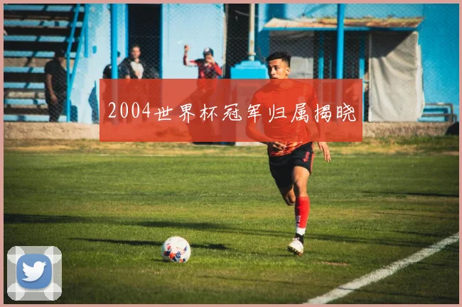 2004世界杯冠军归属揭晓