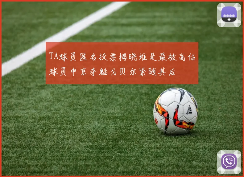 TA球员匿名投票揭晓谁是最被高估球员申京夺魁戈贝尔紧随其后