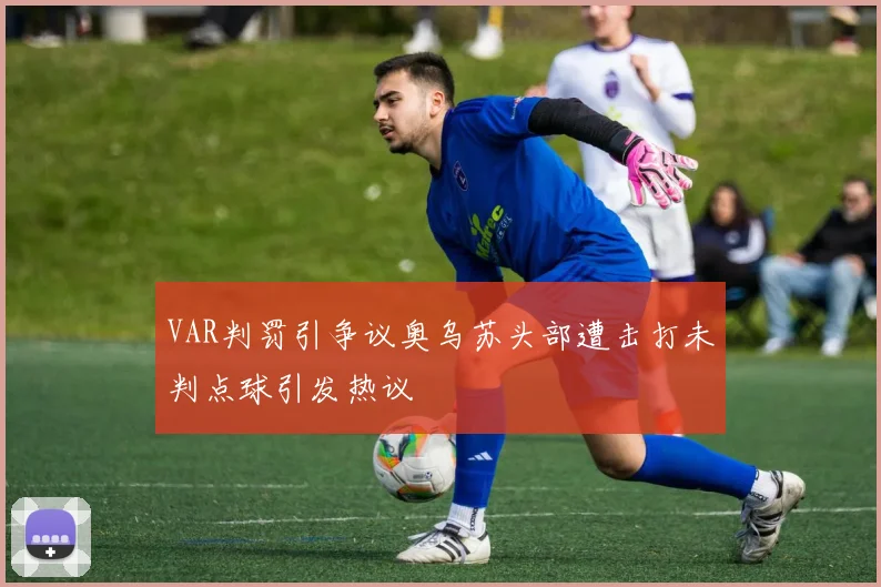VAR判罚引争议奥乌苏头部遭击打未判点球引发热议