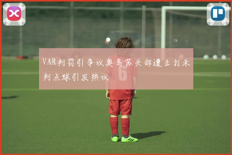 VAR判罚引争议奥乌苏头部遭击打未判点球引发热议