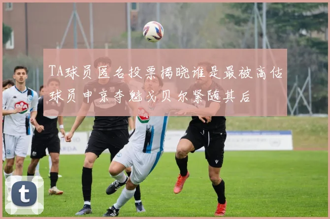 TA球员匿名投票揭晓谁是最被高估球员申京夺魁戈贝尔紧随其后