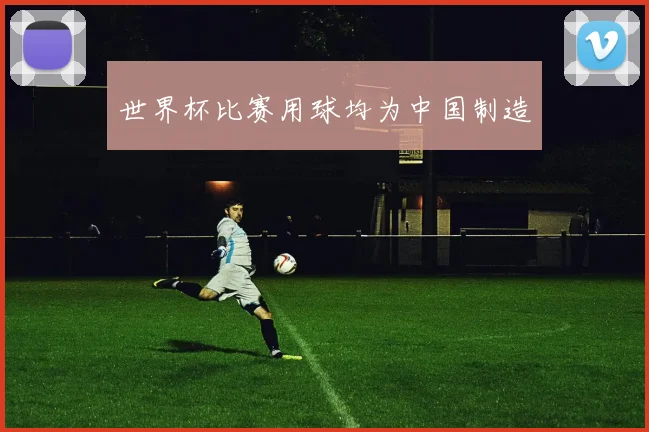 世界杯比赛用球均为中国制造