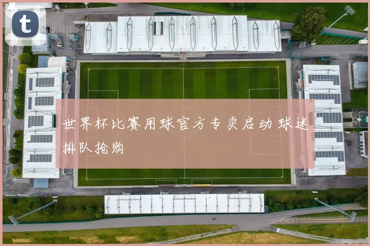 世界杯比赛用球官方专卖启动 球迷排队抢购