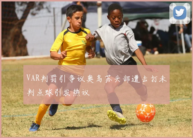 VAR判罚引争议奥乌苏头部遭击打未判点球引发热议