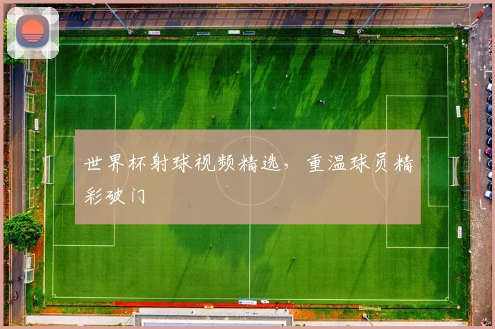世界杯射球视频精选，重温球员精彩破门