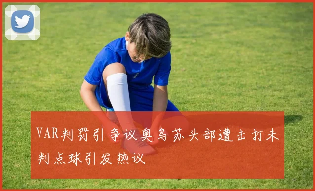 VAR判罚引争议奥乌苏头部遭击打未判点球引发热议
