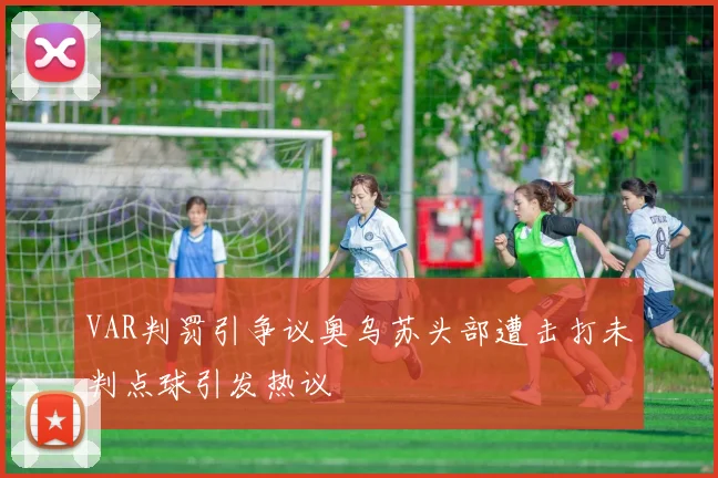 VAR判罚引争议奥乌苏头部遭击打未判点球引发热议