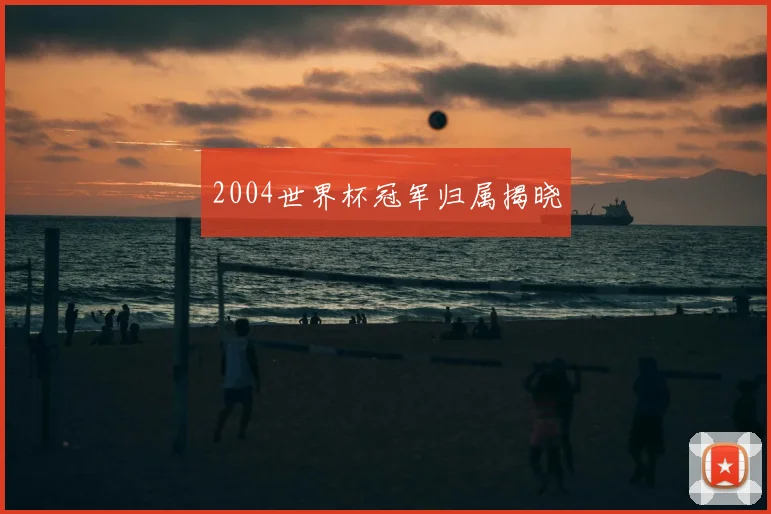 2004世界杯冠军归属揭晓