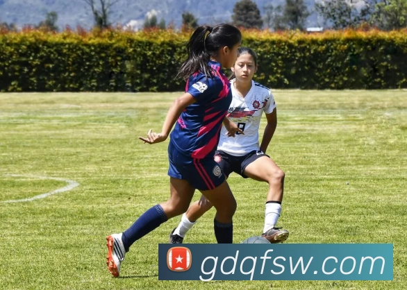 华体会体育APP 高清赛事图